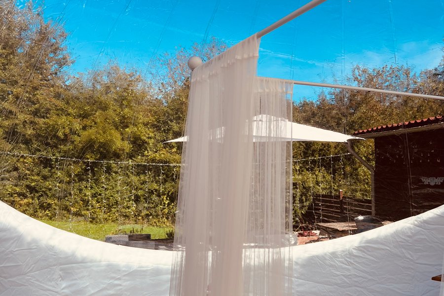 Bulle Pointre Bulle Pointre