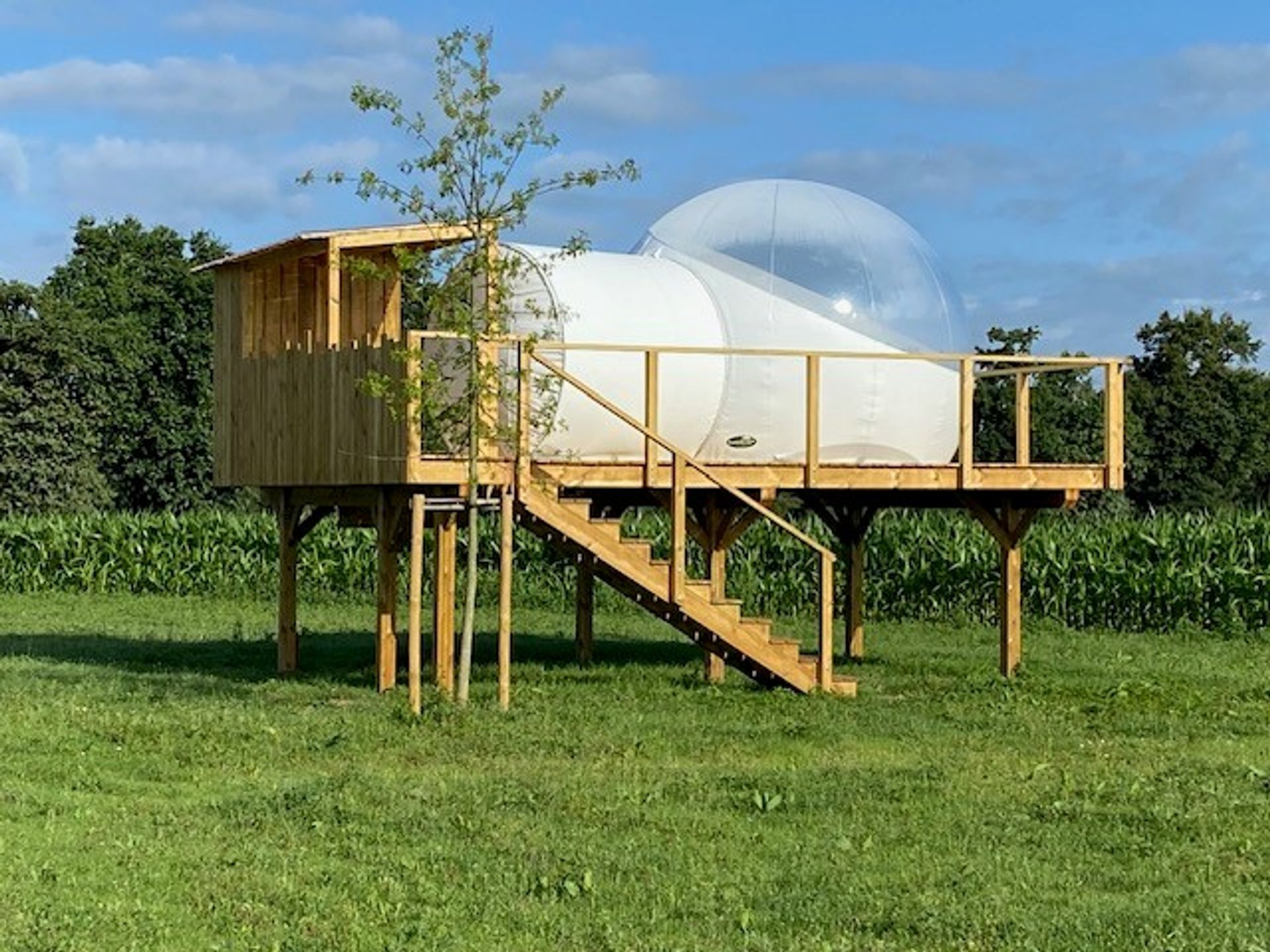 Bulle La Bulle de la fée Viviane Bulle La Bulle de la fée Viviane