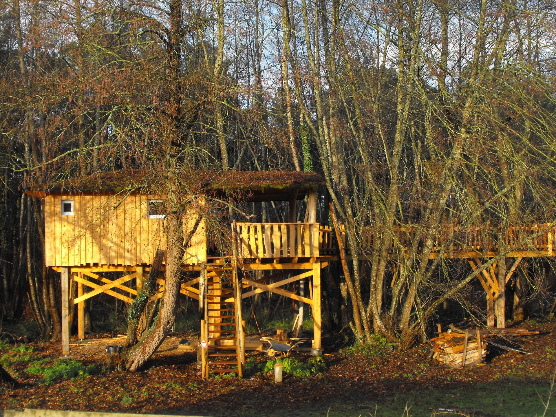 Cabane dans les arbres Cabane des Cerfs Cabane dans les arbres Cabane des Cerfs