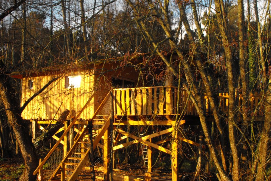 dormir Cabane dans les arbres dormir Cabane dans les arbres
