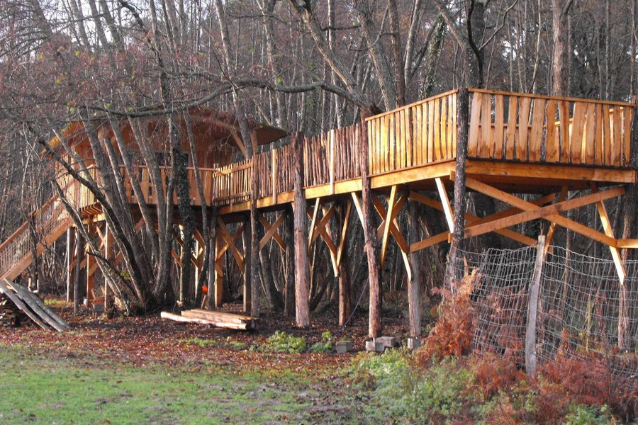 Cabane dans les arbres La Ferme de l'Argenté Cabane dans les arbres La Ferme de l'Argenté