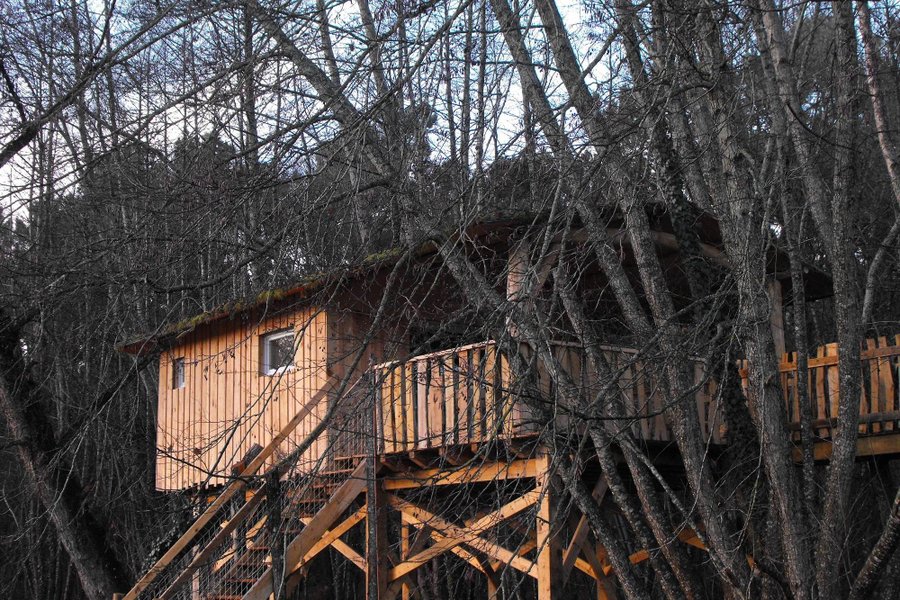 Cabane dans les arbres Allons Cabane dans les arbres Allons