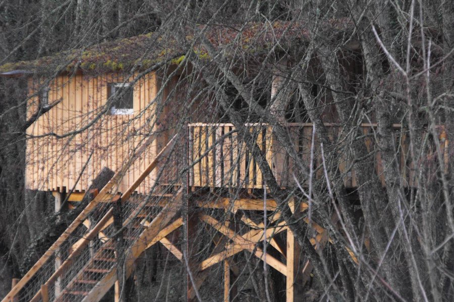 Cabane dans les arbres 47420 Allons Cabane dans les arbres 47420 Allons