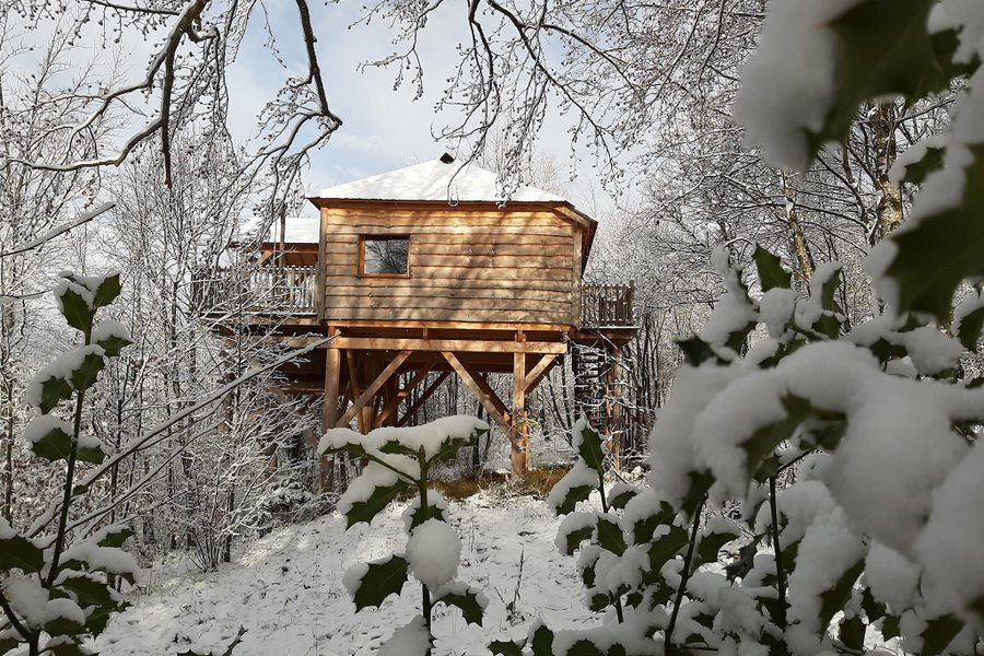 Cabane dans les arbres Bonlieu Cabane dans les arbres Bonlieu