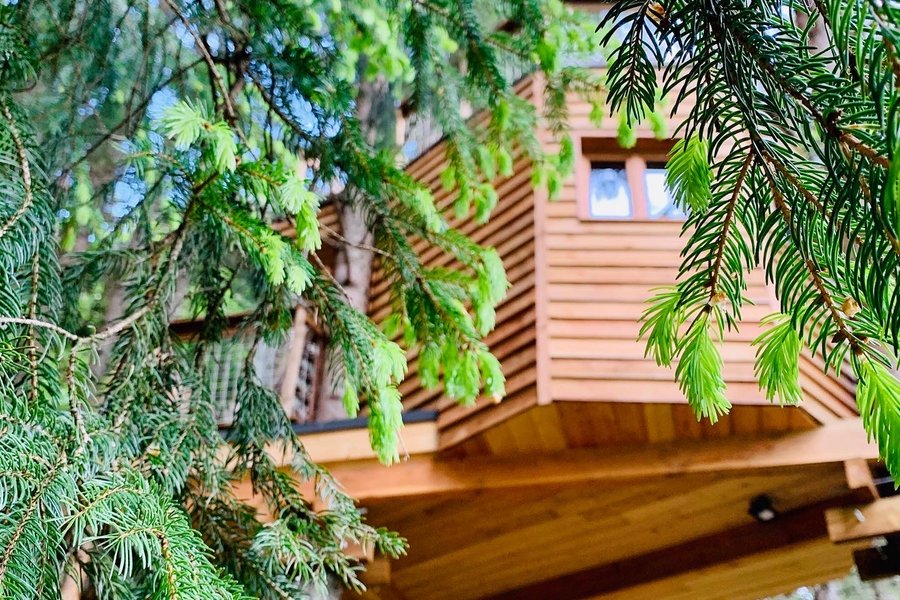dormir Cabane dans les arbres dormir Cabane dans les arbres