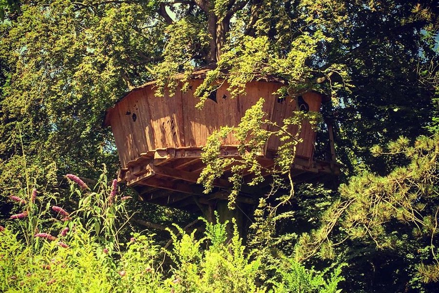 Cabane dans les arbres Hauts-de-France>Pas-de-Calais Cabane dans les arbres Hauts-de-France>Pas-de-Calais