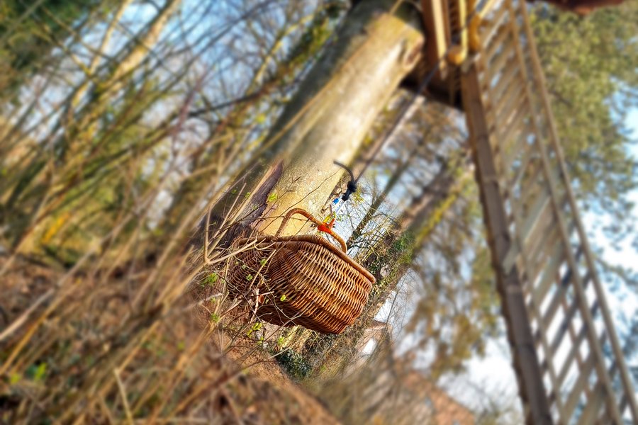 nuit insolite Cabane dans les arbres Hauts-de-France>Pas-de-Calais nuit insolite Cabane dans les arbres Hauts-de-France>Pas-de-Calais