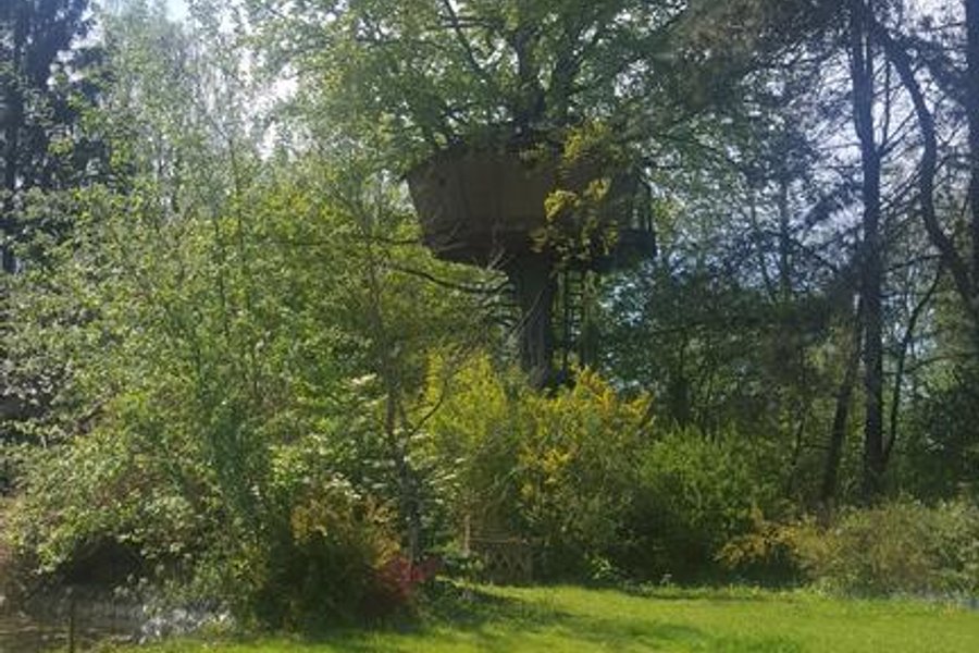 Cabane dans les arbres Pas-de-Calais Cabane dans les arbres Pas-de-Calais