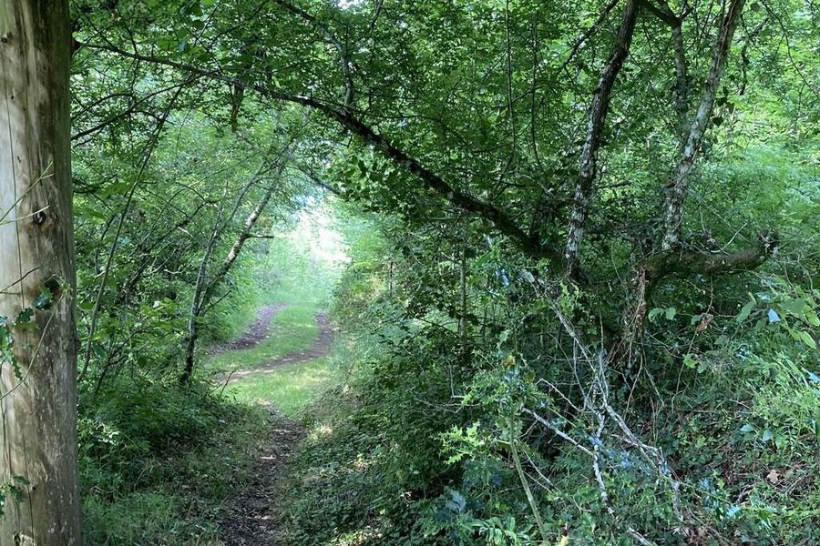 nuit insolite Cabane dans les arbres Auvergne-Rhône-Alpes>Cantal nuit insolite Cabane dans les arbres Auvergne-Rhône-Alpes>Cantal