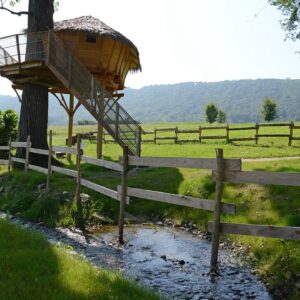 Cabane dans les arbres La Cabane du Domaine de Suzel