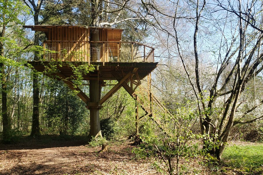 dormir Cabane dans les arbres dormir Cabane dans les arbres