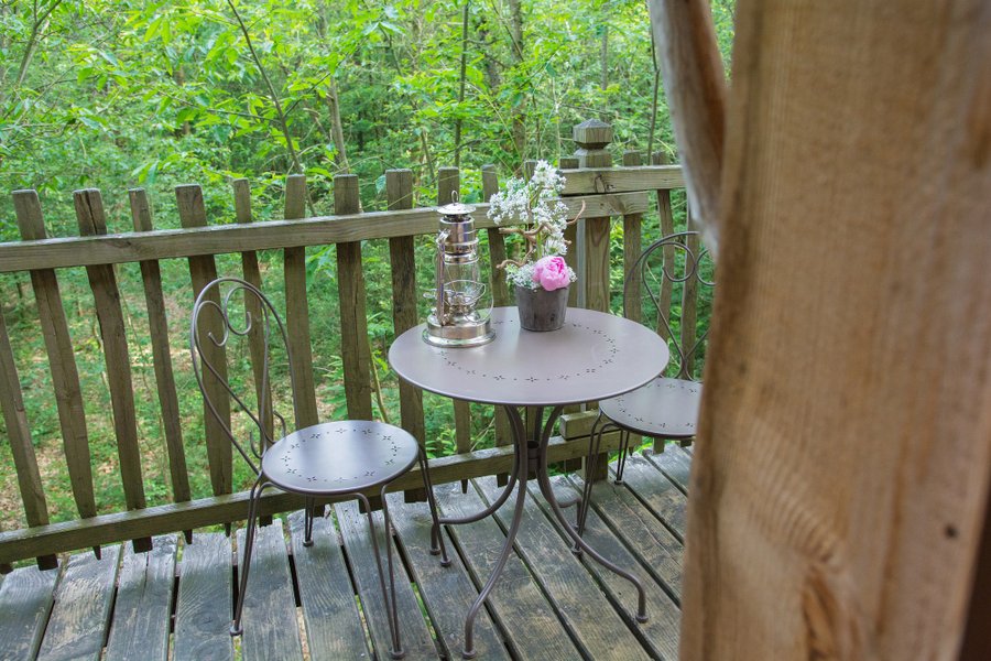 Cabane dans les arbres Coulx Cabane dans les arbres Coulx