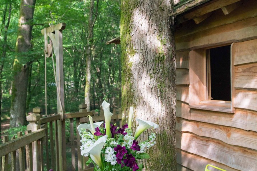 dormir Cabane dans les arbres dormir Cabane dans les arbres
