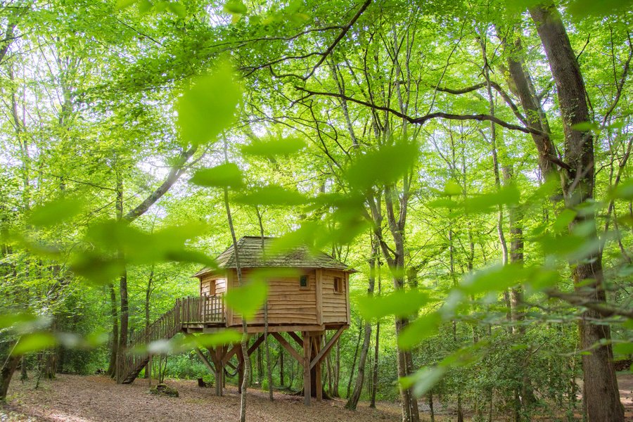 Cabane dans les arbres Lot-et-Garonne Cabane dans les arbres Lot-et-Garonne