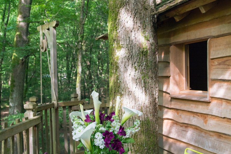 Cabane dans les arbres Coulx Cabane dans les arbres Coulx