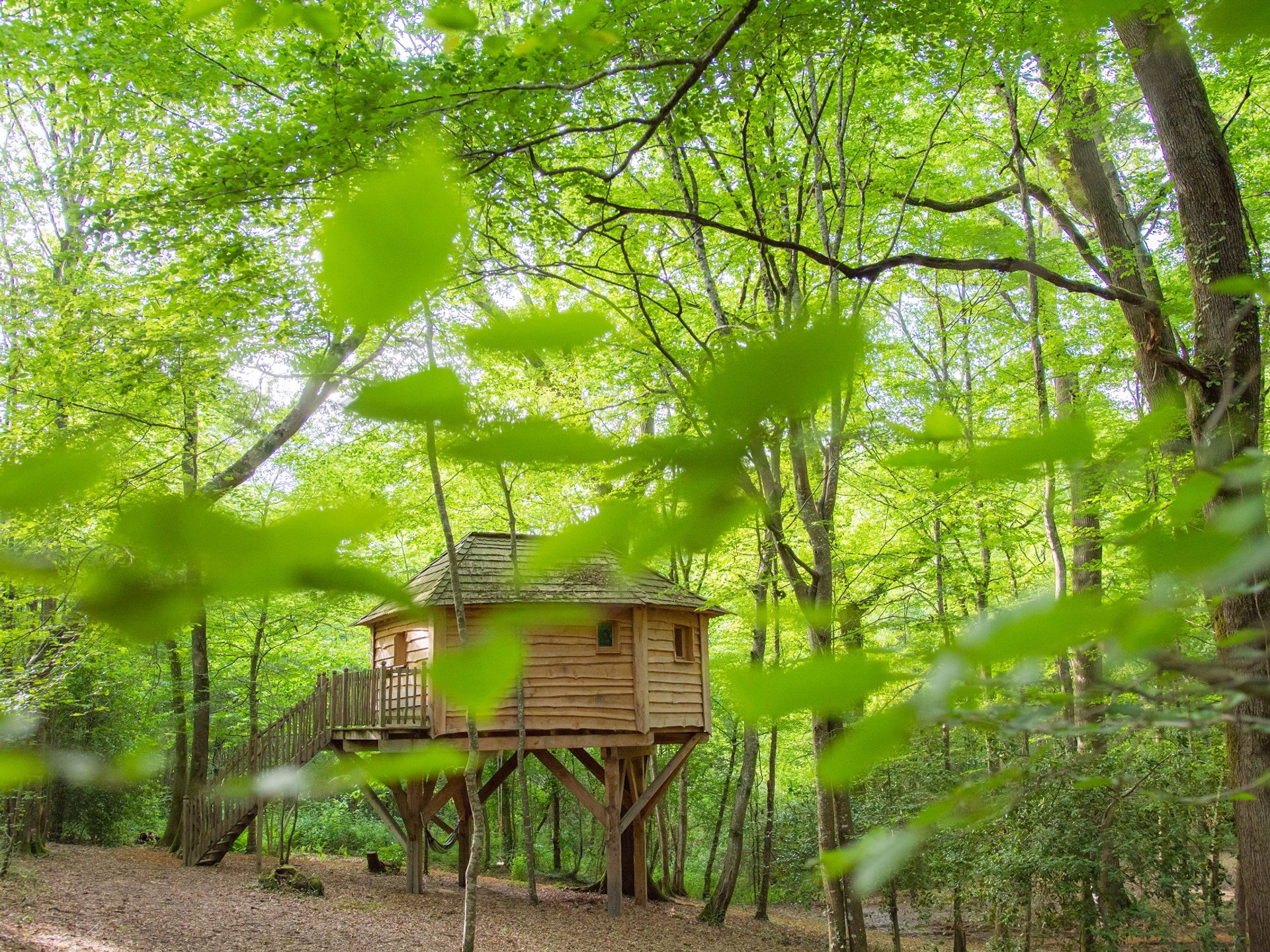Cabane dans les arbres La Folie des Grandeurs Cabane dans les arbres La Folie des Grandeurs