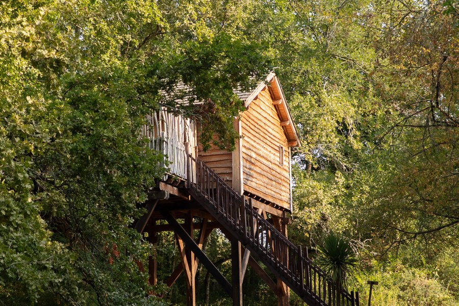 dormir Cabane dans les arbres dormir Cabane dans les arbres