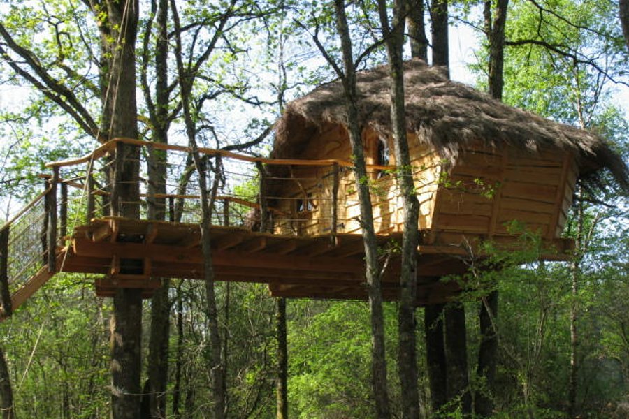 Cabane dans les arbres Loir-et-Cher Cabane dans les arbres Loir-et-Cher