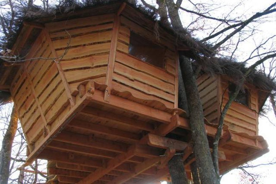 Cabane dans les arbres Une Nuit aux Lierres Cabane dans les arbres Une Nuit aux Lierres
