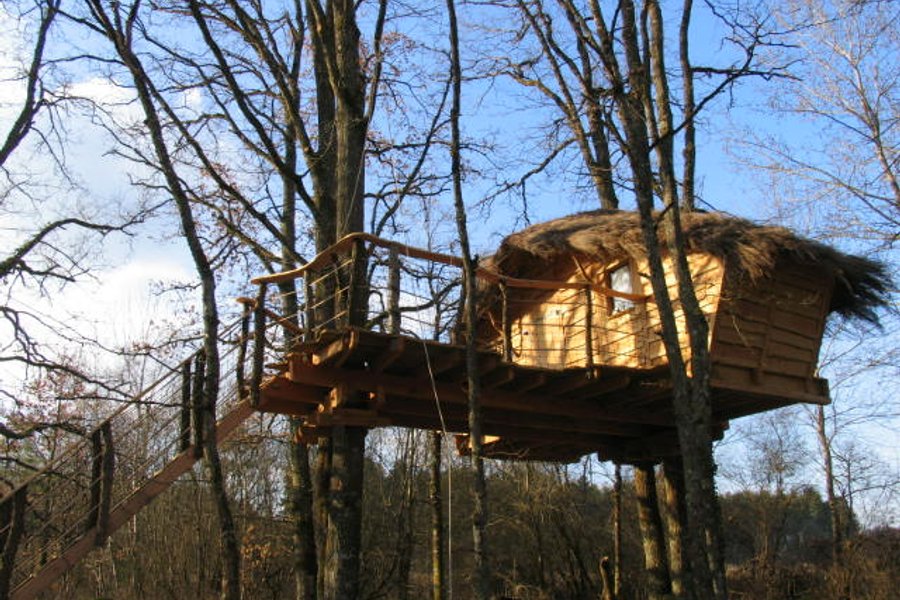 Cabane dans les arbres Vouzon Cabane dans les arbres Vouzon