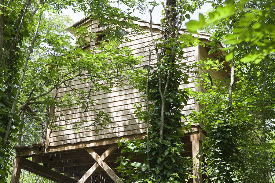 Cabane dans les arbres La Chapelle Aux Naux Cabane dans les arbres La Chapelle Aux Naux