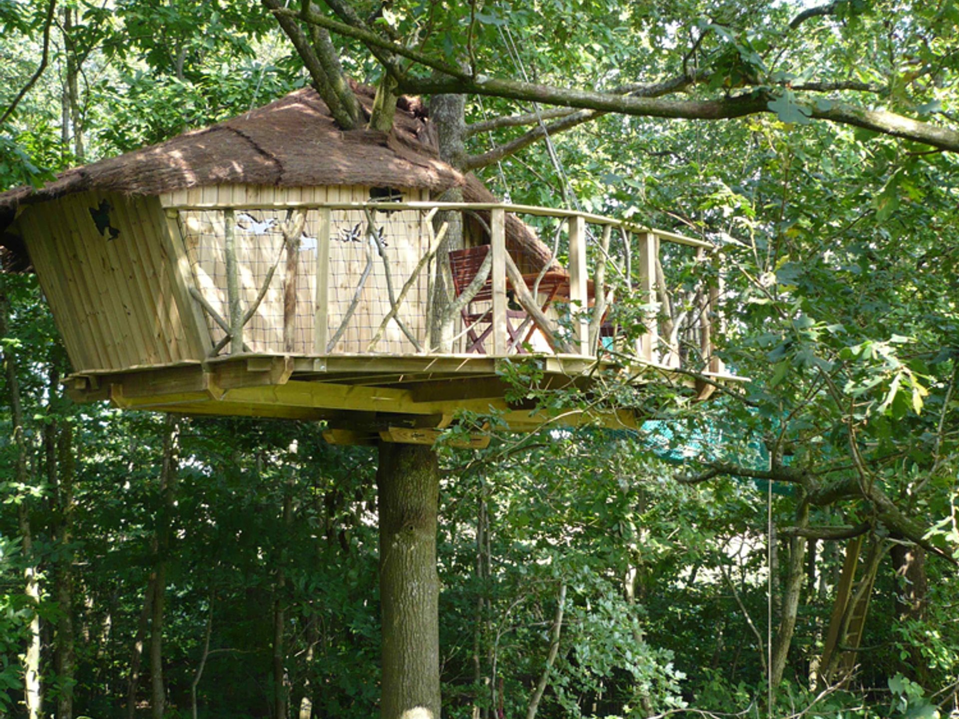 Cabane dans les arbres Cabane des Elfes Cabane dans les arbres Cabane des Elfes