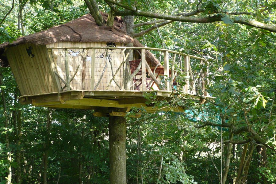 Cabane dans les arbres Manoir de l'Alleu Cabane dans les arbres Manoir de l'Alleu