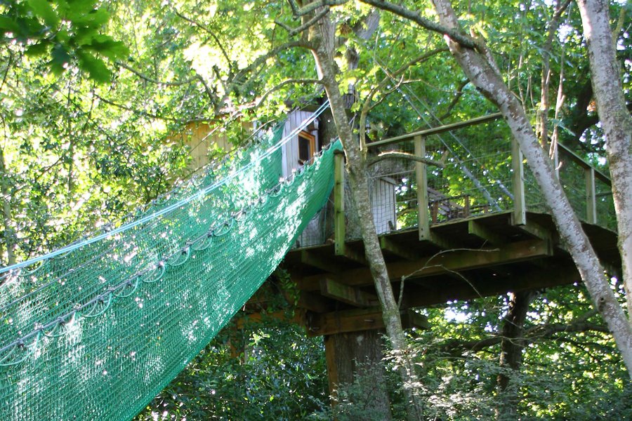 Cabane dans les arbres Manoir du Reposoir Cabane dans les arbres Manoir du Reposoir