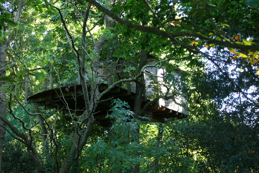 Cabane dans les arbres Hénanbihen Cabane dans les arbres Hénanbihen