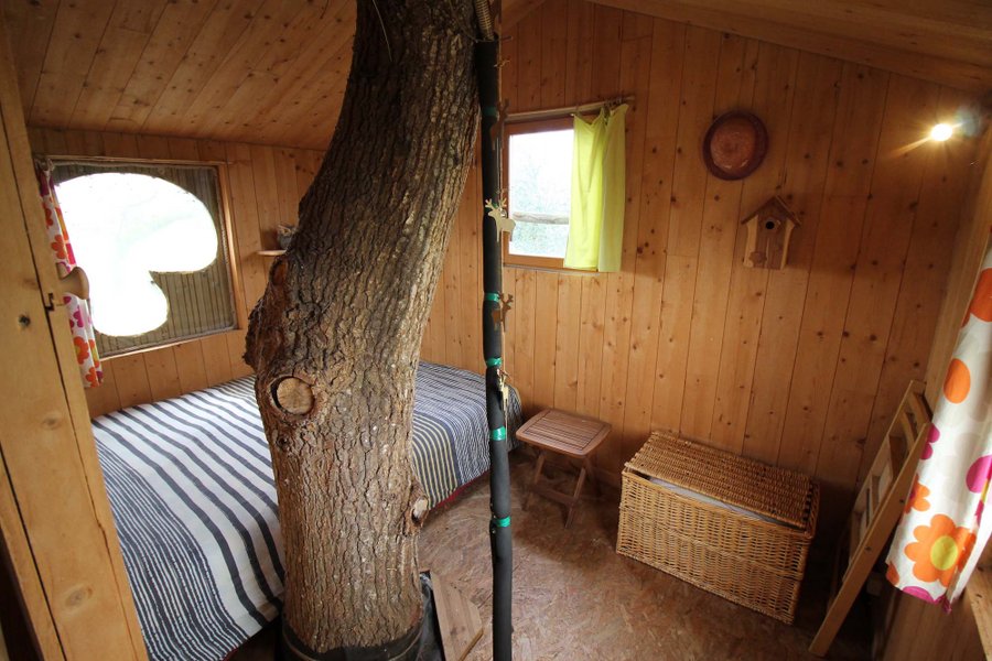 Cabane dans les arbres Côtes-d'Armor Cabane dans les arbres Côtes-d'Armor