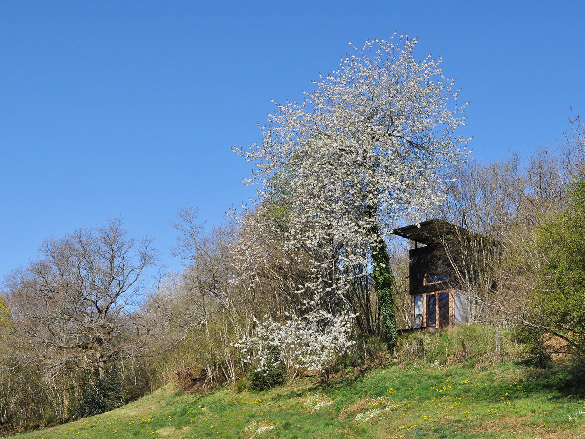 Cabane Cabane Latite Cabane Cabane Latite