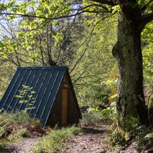 Cabane La Cabane Forestière