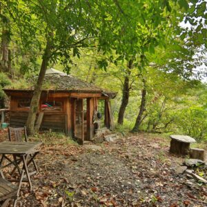Cabane Petite cabane dans les bois