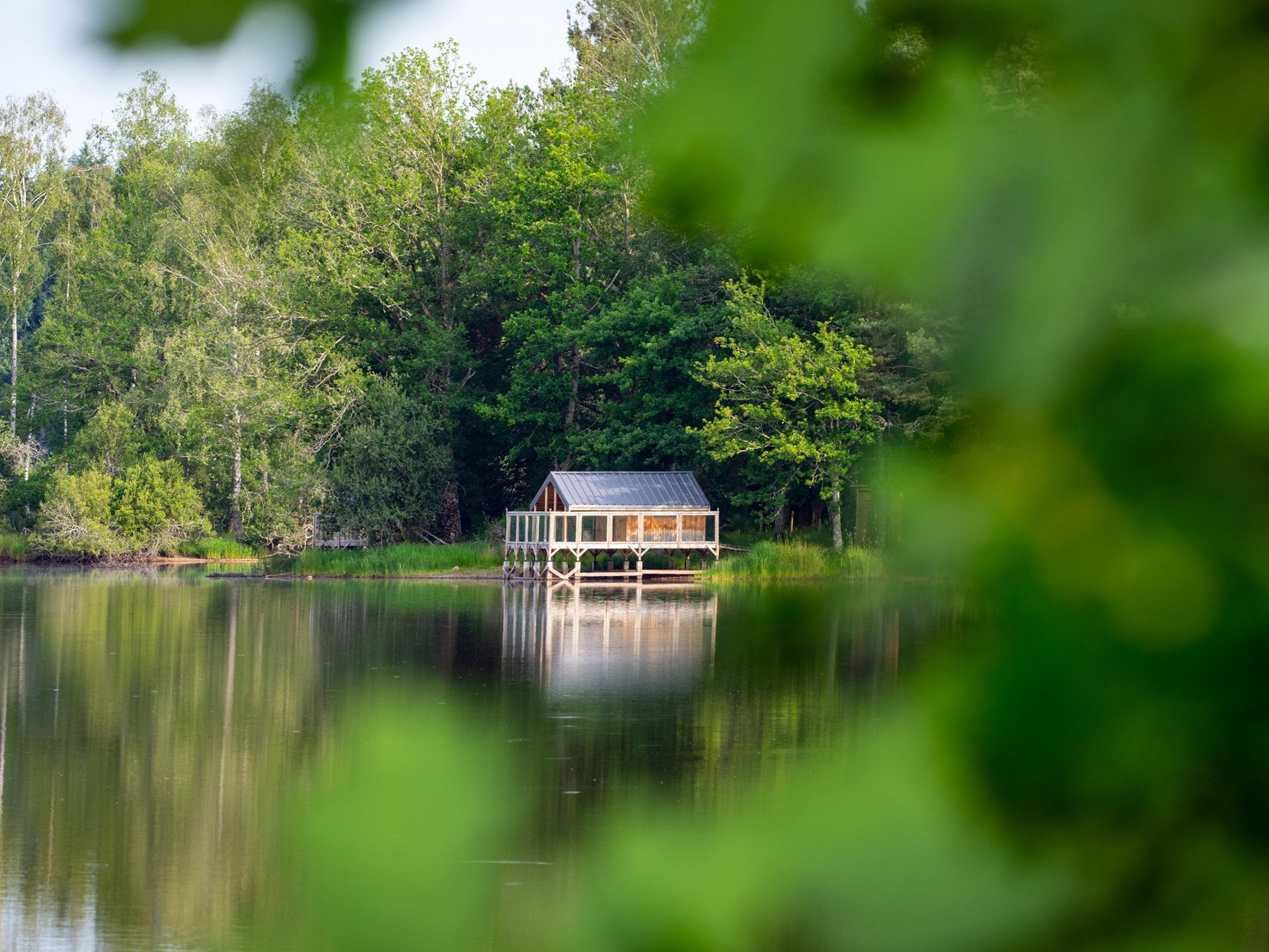 Cabane sur l'eau Cabane sur l'eau Aigrette Cabane sur l'eau Cabane sur l'eau Aigrette