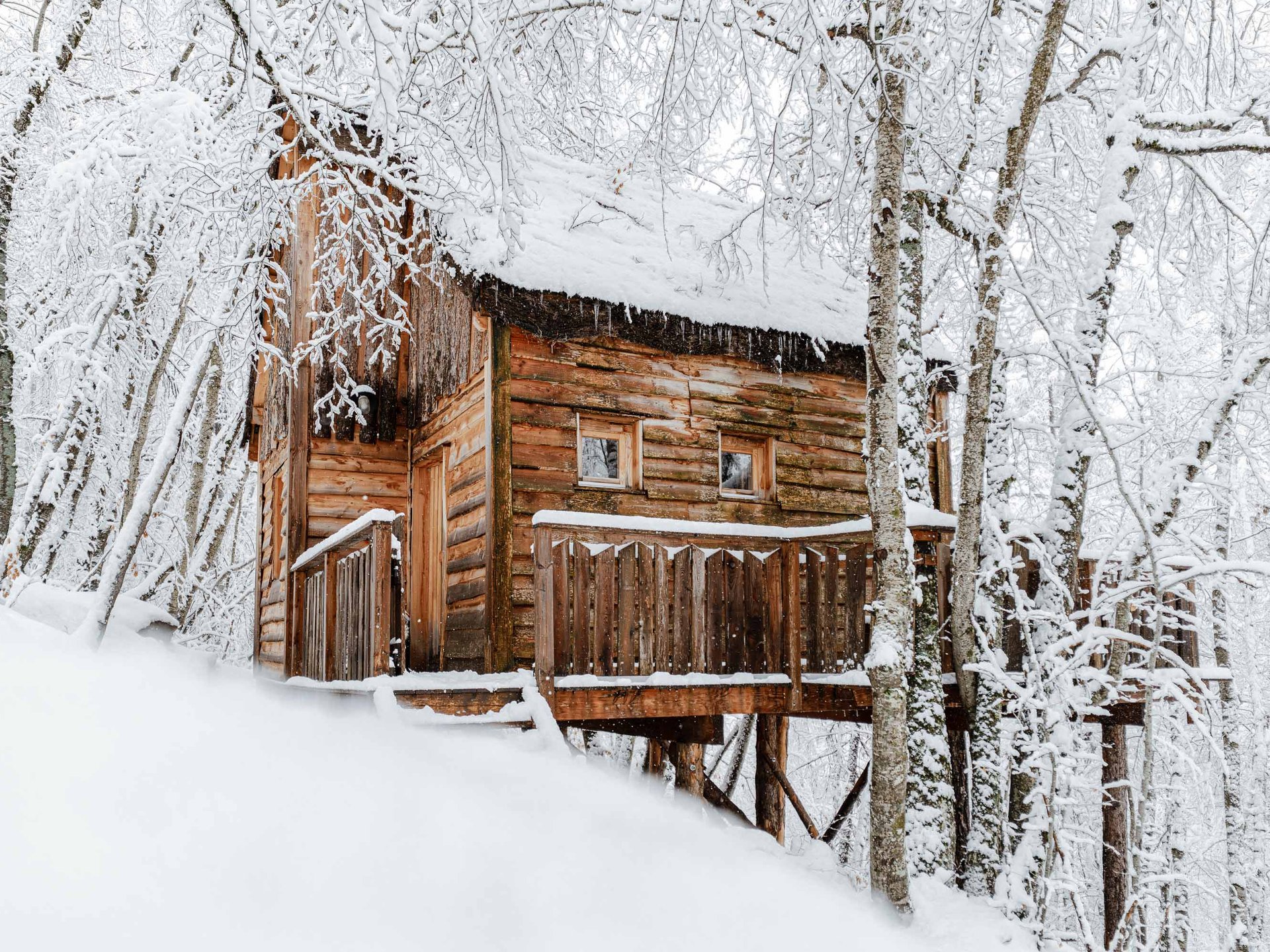 Cabane sur pilotis Cabane Spa des Trolls Cabane sur pilotis Cabane Spa des Trolls