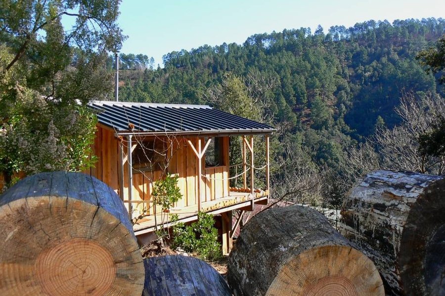Cabane sur pilotis Occitanie>Gard Cabane sur pilotis Occitanie>Gard