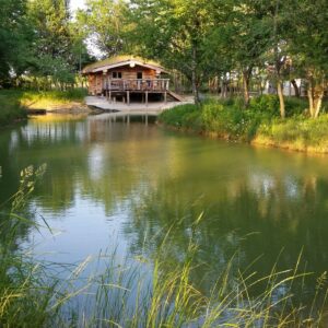 Cabane sur pilotis Le Nordic  et  Spa