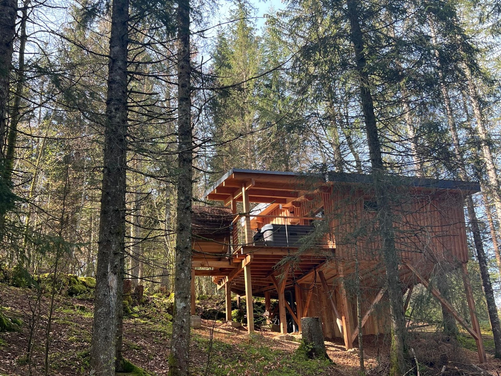 Cabane sur pilotis Cabane La Seignette et Spa et Sauna Cabane sur pilotis Cabane La Seignette et Spa et Sauna