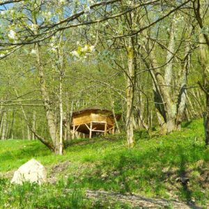 Cabane sur pilotis la Cabane l'Appel de la Forêt