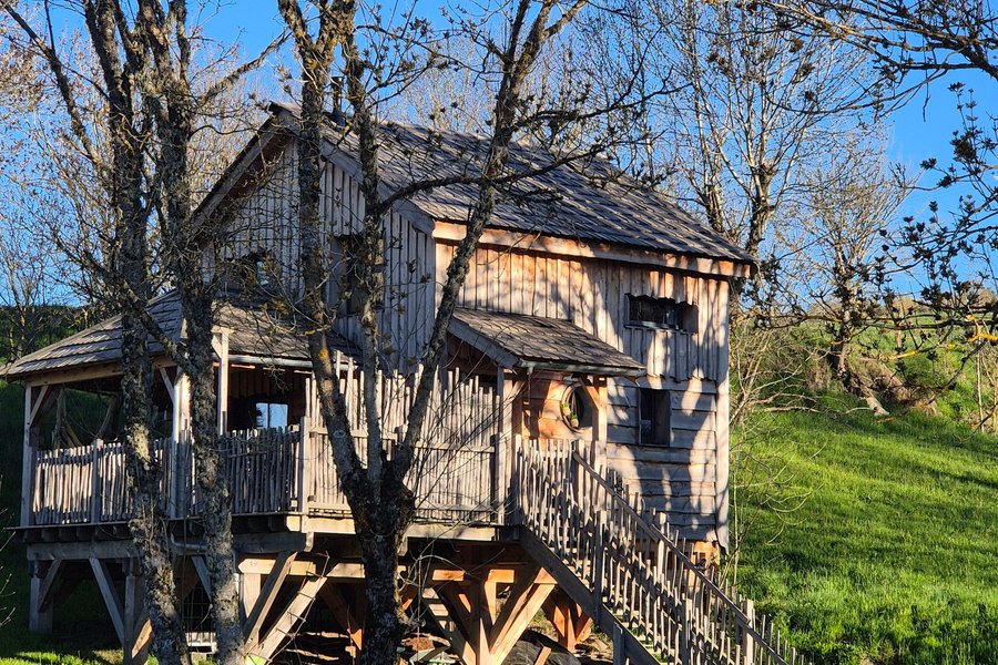 Cabane sur pilotis Lozère Cabane sur pilotis Lozère