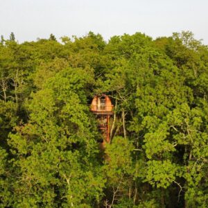 Cabane sur pilotis La cabane entre les cimes
