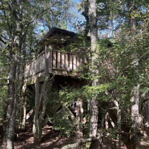 Cabane sur pilotis Cabane Perchée Jurassic