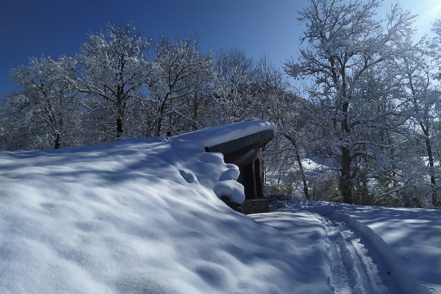 Cabane végétalisée Haute-Loire Cabane végétalisée Haute-Loire