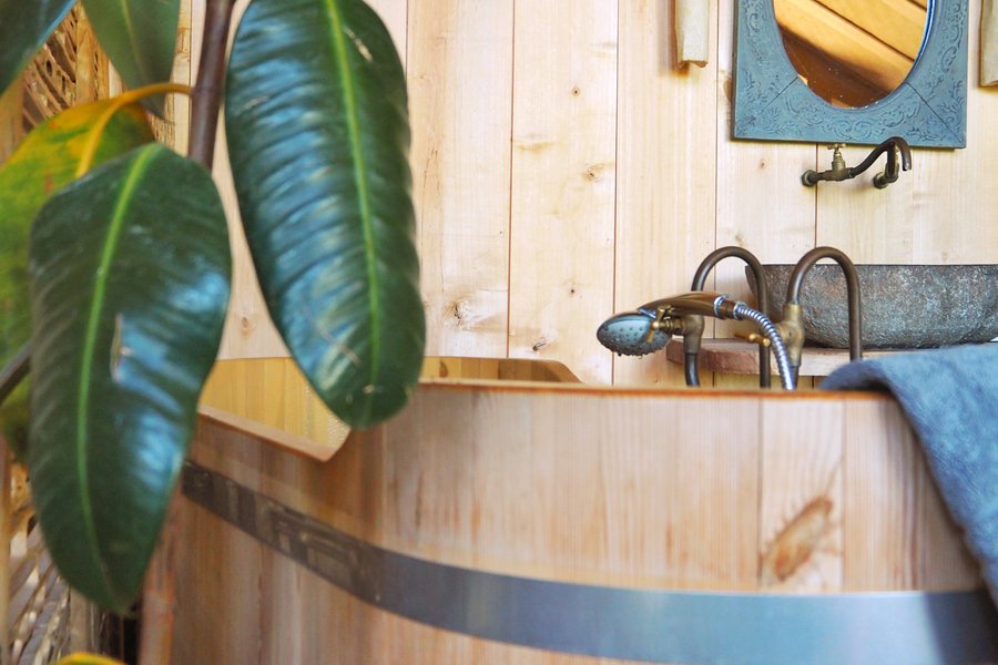 Cabane végétalisée Ille-et-Vilaine Cabane végétalisée Ille-et-Vilaine