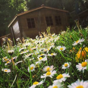 Chalet Chalet Pêcheur