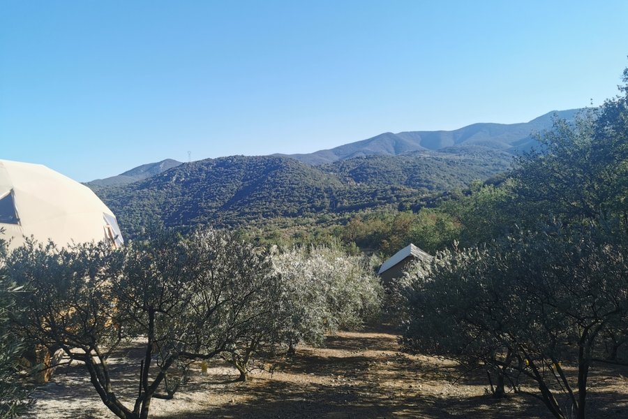 nuit insolite Occitanie>Pyrénées-Orientales nuit insolite Occitanie>Pyrénées-Orientales