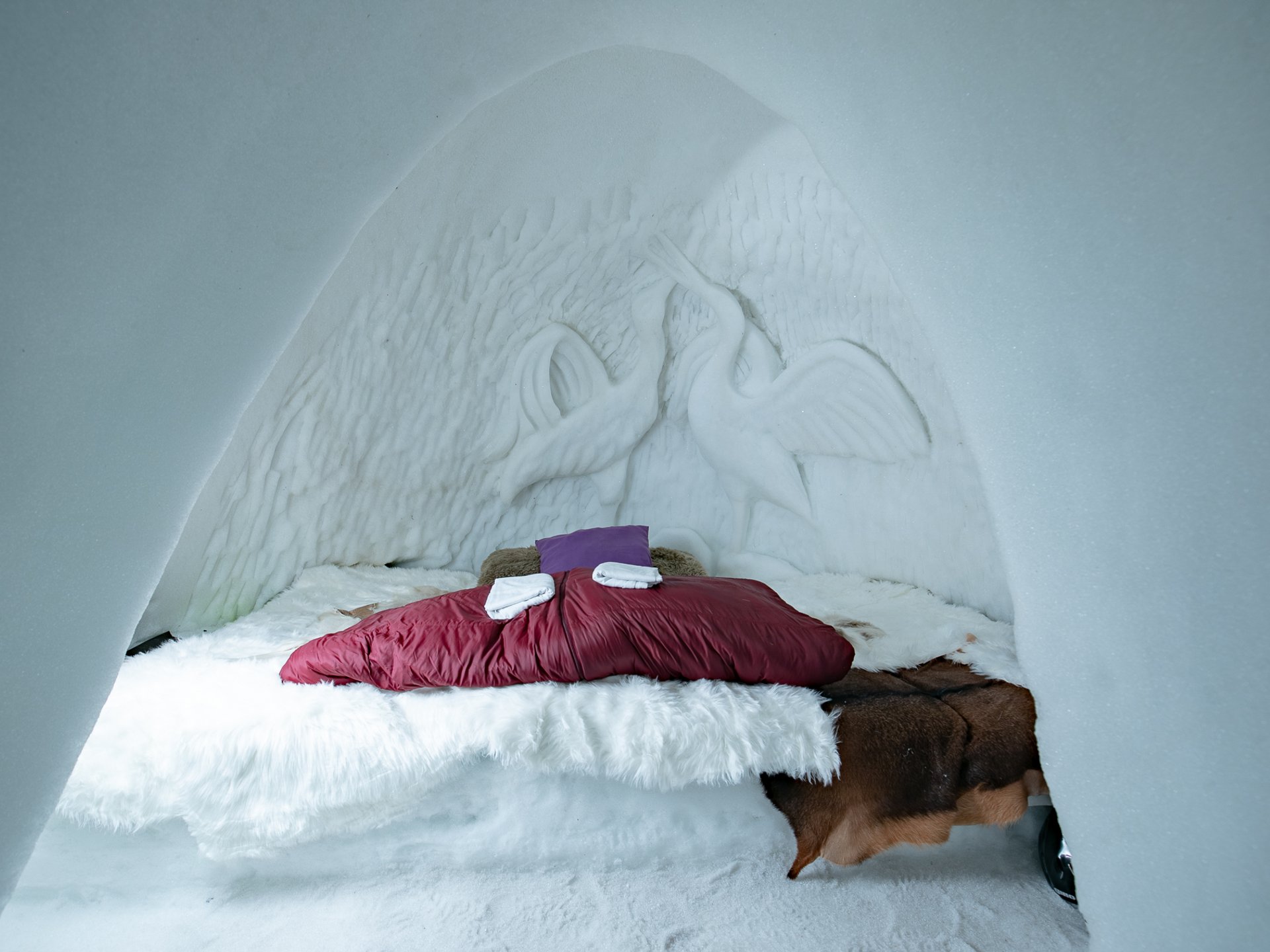 Igloo Village Igloo Val Thorens Igloo Village Igloo Val Thorens