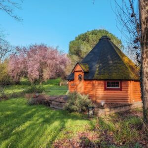 Kota Le kota à l’ombre d’Yggdrasil