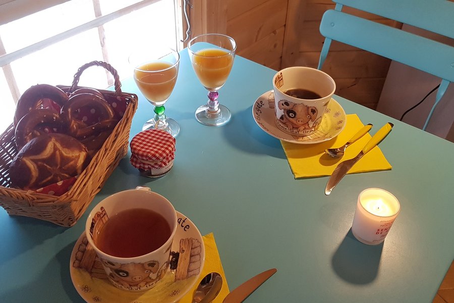 Kota NatureZenKota Kota NatureZenKota