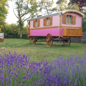 Roulotte Roulotte Ô Bois d'mon cœur